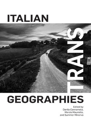 cover image of Italian Trans Geographies